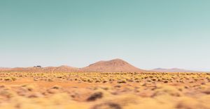 Desert Hills