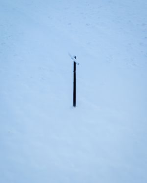An Abandoned Pole in Canada